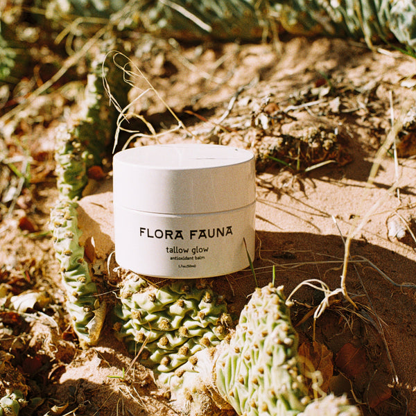 Tallow Glow™